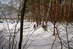 Лыжный туризм, туристский слет. 27 февраля 2011. Фото Дмитрия Тихоненко, кадр 404