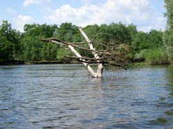 Река Хопер. Водный поход. Июнь 2012, кадр 1007