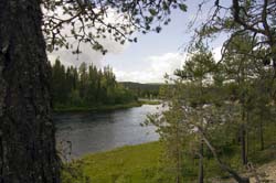 Поход по реке Тунсайоки - Тумча, август 2012. Фотографии Екатерины Кузовкиной, кадр 1880