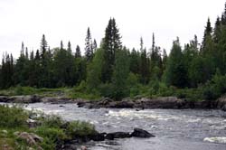 Поход по реке Тунсайоки - Тумча, август 2012. Фотографии Екатерины Кузовкиной, кадр 2241
