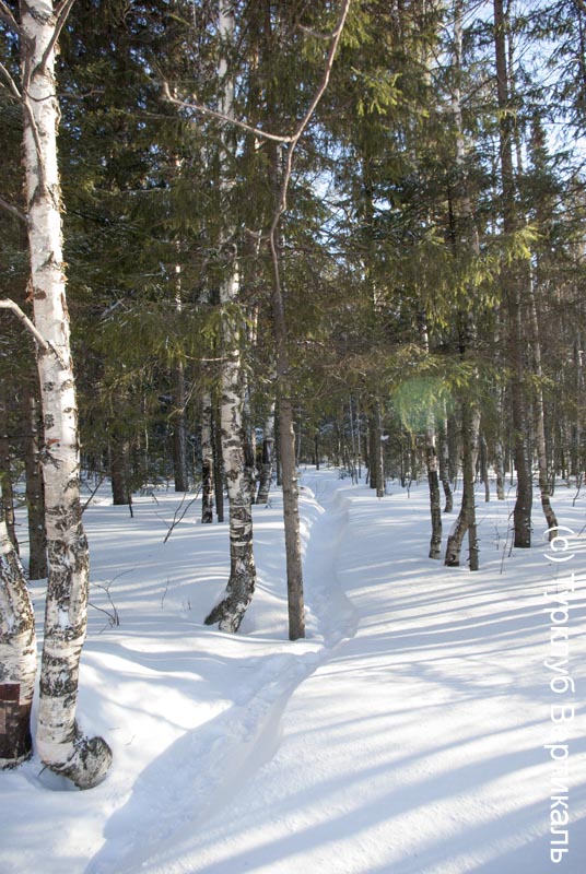 Лыжный поход Таганай. Март 2015. Фотографии Ирины Большаковой, кадр 307