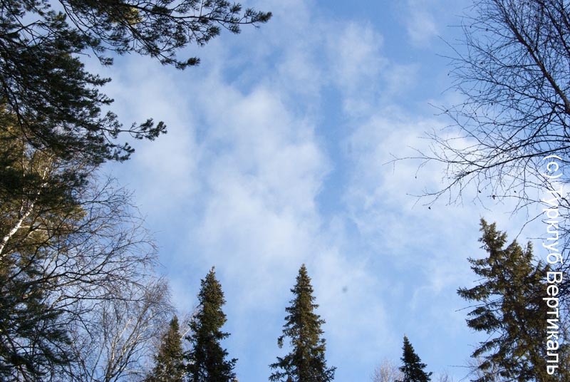Лыжный поход Таганай. Март 2015. Фотографии Ирины Большаковой, кадр 308