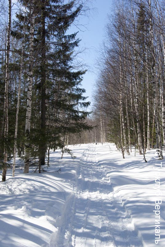 Лыжный поход Таганай. Март 2015. Фотографии Ирины Большаковой, кадр 309