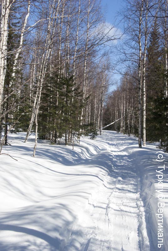 Лыжный поход Таганай. Март 2015. Фотографии Ирины Большаковой, кадр 310