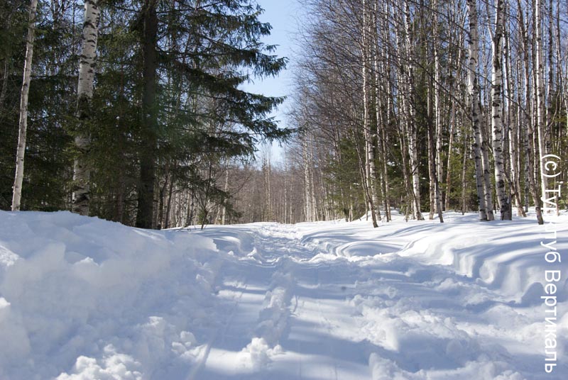 Лыжный поход Таганай. Март 2015. Фотографии Ирины Большаковой, кадр 311