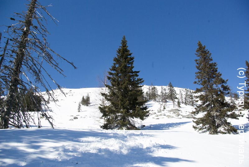 Лыжный поход Таганай. Март 2015. Фотографии Ирины Большаковой, кадр 329