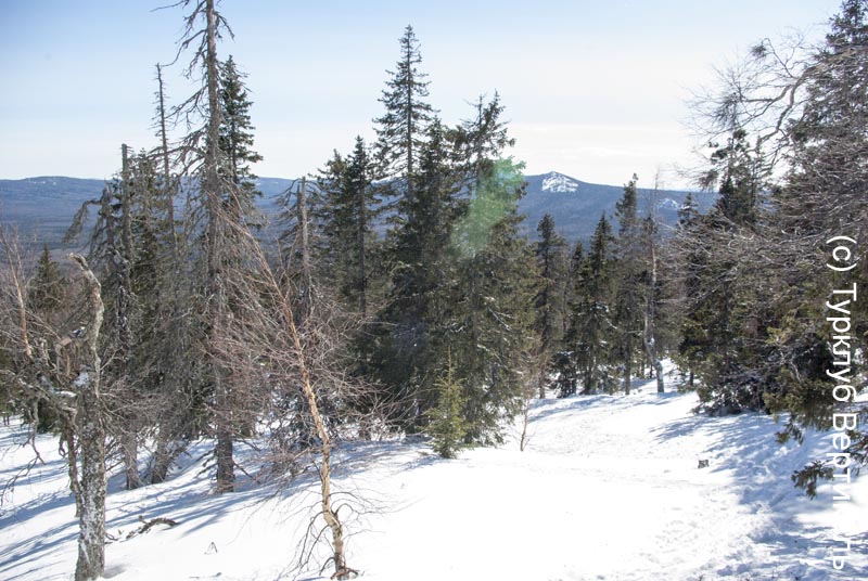 Лыжный поход Таганай. Март 2015. Фотографии Ирины Большаковой, кадр 330