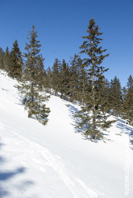 Лыжный поход Таганай. Март 2015. Фотографии Ирины Большаковой, кадр 331