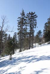 Лыжный поход Таганай. Март 2015. Фотографии Ирины Большаковой, кадр 333