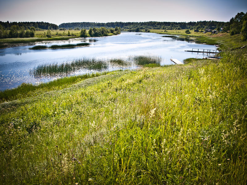 Река Кема у деревни Поповское
