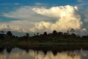 Амазонка, Манаус