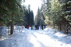 Лыжный поход, Таганай 2018. Фотографии Ирины Борисовны, кадр 648