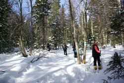 Лыжный поход, Таганай 2018. Фотографии Ирины Борисовны, кадр 675